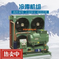 廠家直銷全新比澤爾中低溫半封閉活塞壓縮機風(fēng)冷機組冷