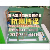廠家直銷半封閉風(fēng)冷機組水冷機組谷輪活塞壓縮機比澤爾