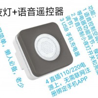 語(yǔ)音遙控器