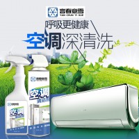 言春意雪空調(diào)清洗劑 空調(diào)內(nèi)機清洗專用除菌去異味