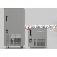 供應(yīng)意大利TECNOINOX速凍柜、海鮮低溫冷凍柜速凍機(jī)