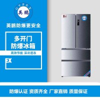新疆對(duì)開(kāi)門(mén)防爆冰箱400L