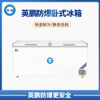 營(yíng)口500/680/800L雙門(mén)臥式防爆冰箱 BL-200WS500L